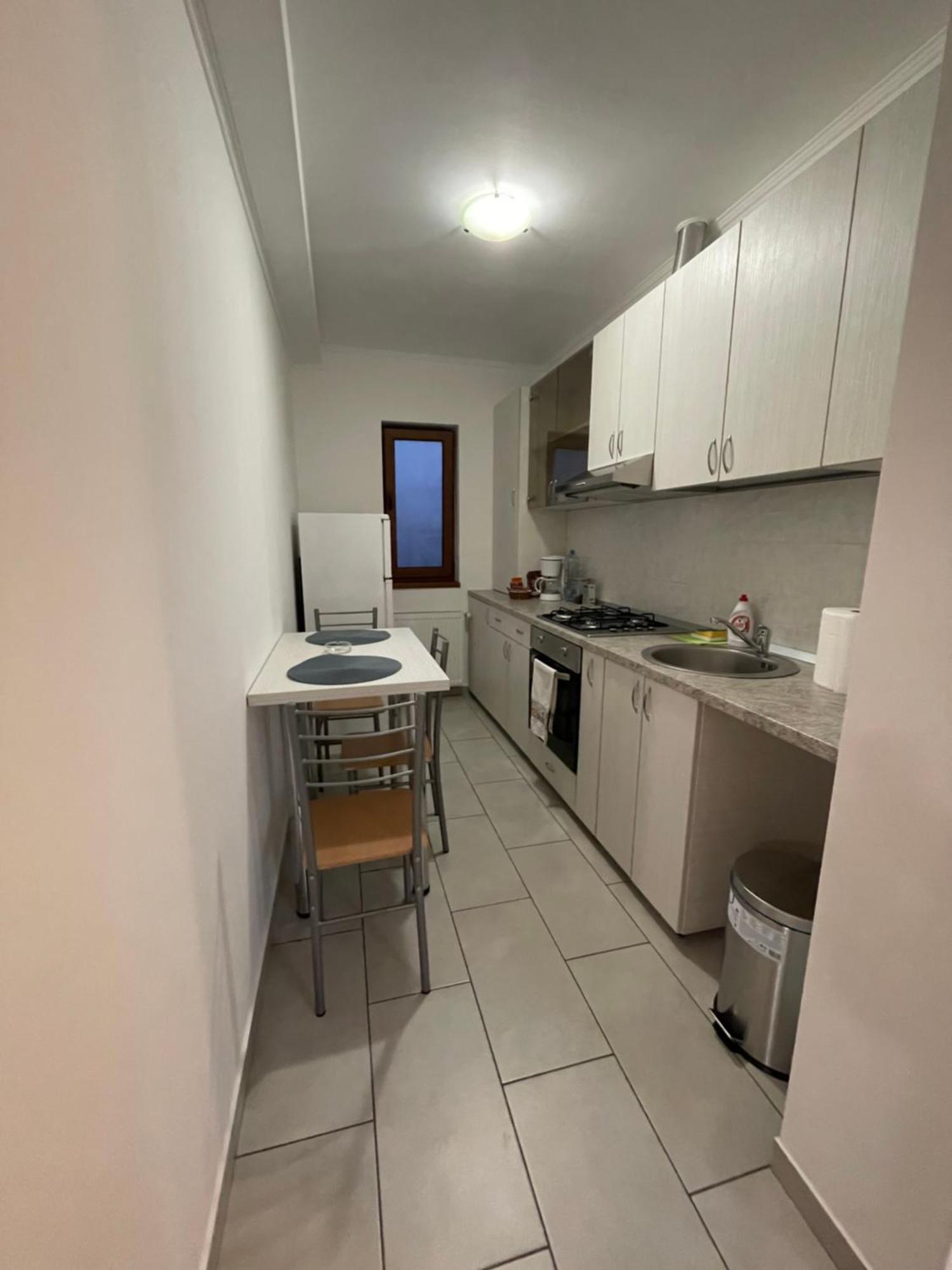Apartment In The Villa Northern Dreams #3 Parking Included In Price Timişoara Buitenkant foto