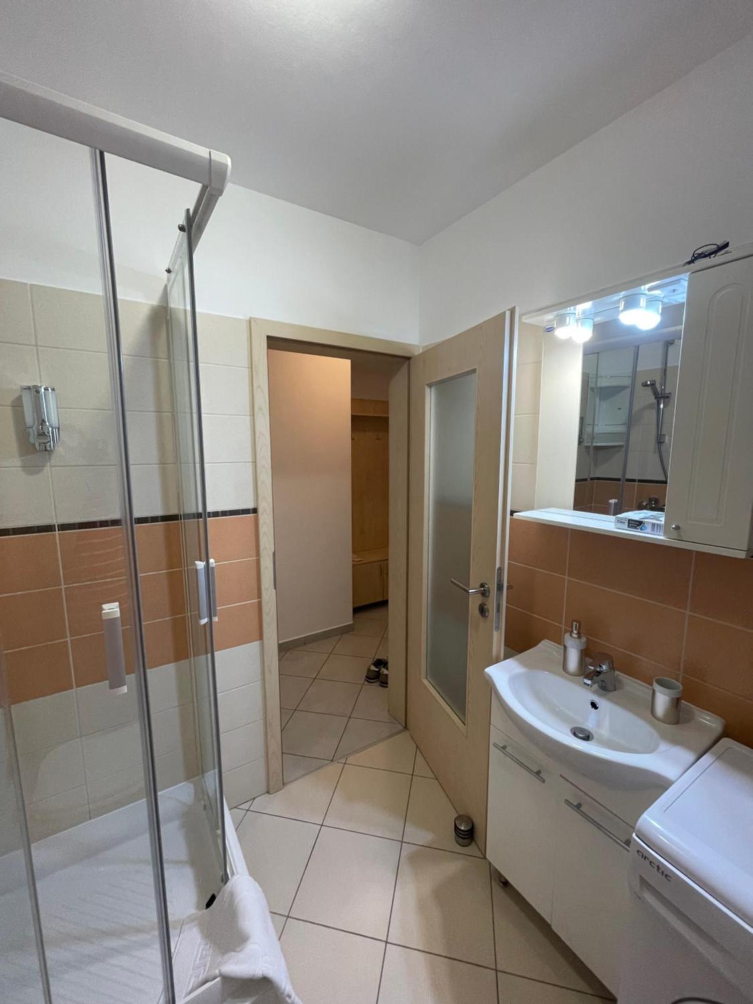 Apartment In The Villa Northern Dreams #3 Parking Included In Price Timişoara Buitenkant foto